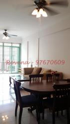 The Sunny Spring (D14), Apartment #97521512